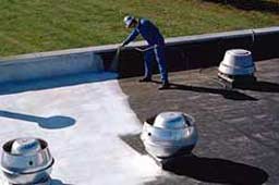 Guy spraying material on roof